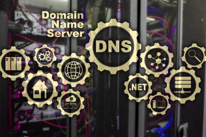 The Domain Name System (DNS)